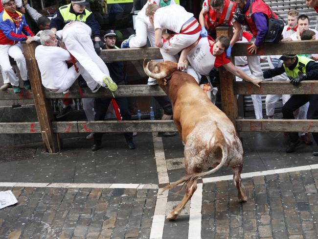 A man, believed to be a 26-year-old Australian, is hurled against a barrier by a Miura bull after it gored his leg. Picture: AFP