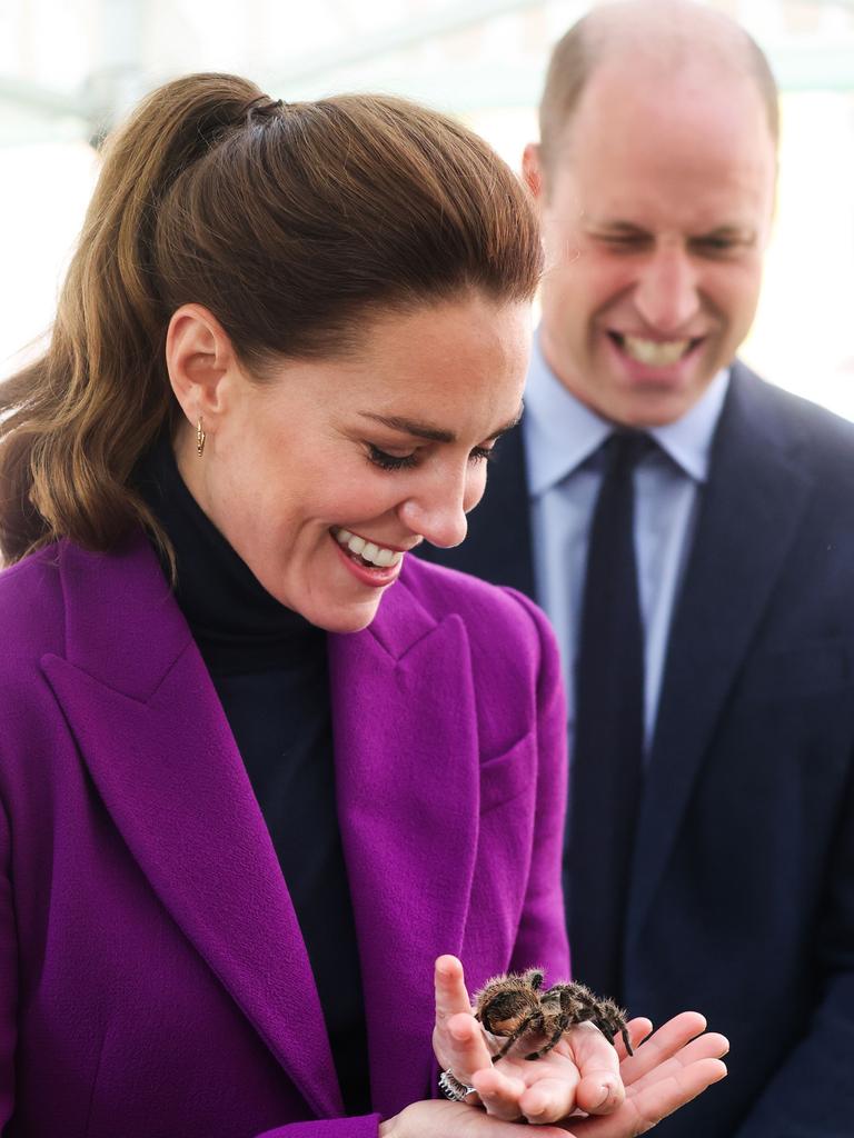 Wills gets his own back as Kate gets stuck with the spider. PictureChris Jackson/Getty Images)