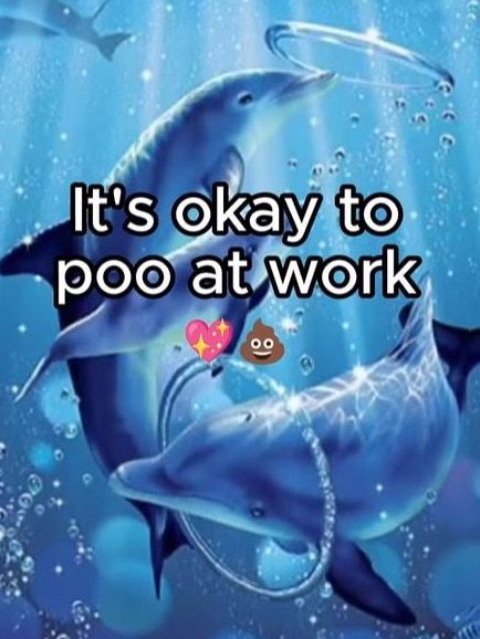 A post shared by Queensland Health to Instagram assuring its followers 'it's okay to poo at work'. Picture: Instagram