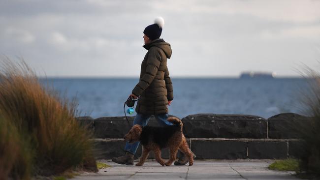 Another cold front is sweeping the state, bringing wild winds and frigid temperatures. Picture: Josie Hayden