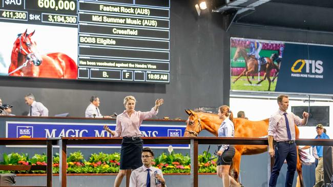 Two new races have been added to the Magic Millions card in order to strengthen the carnival. Picture: Gold Coast Bulletin.