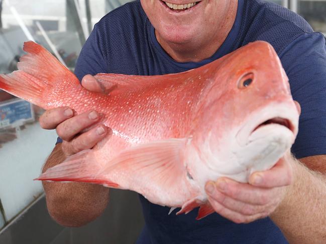 Ocean World seafood market owner Peter Adams is ready to have a bumper Easter long weekend selling fresh fish, crabs, prawns and bugs. Picture: Brendan Radke