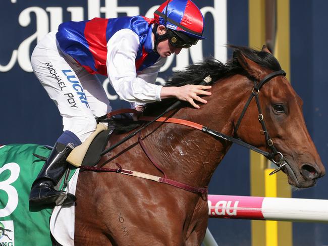 Jockey Michael Poy rides Steel Prince to victory at Caulfield last month. 