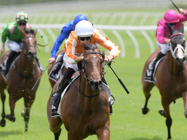 Hugh Bowman rides Ljungberg to victory on the Kensington track at Royal Randwick.