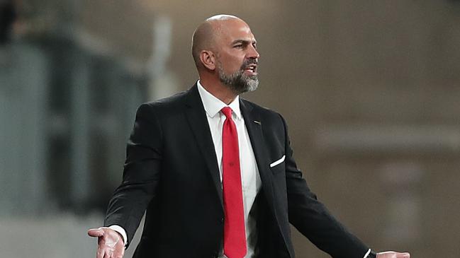 Markus Babbel needs a Christmas miracle. Picture: Mark Metcalfe/Getty