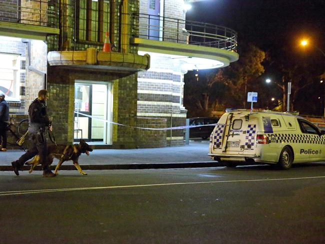 A canine unit returns to the scene after searching for the offender. Picture: Patrick Herve