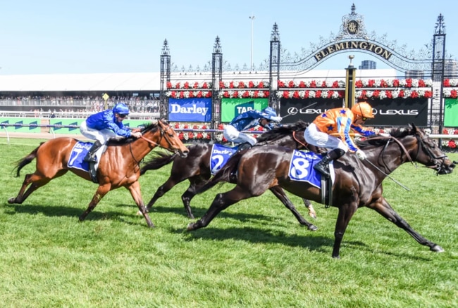 Imperatriz is the headline act at Flemington (Image: Racing Photos)