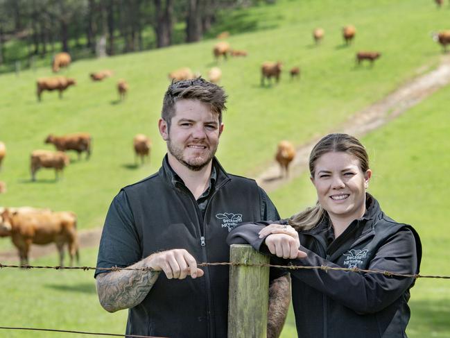 Alema Seebeck and Bradley Dixon plan to offer 550 weaners in this year’s calf sales at Pakenham. Picture: Zoe Phillips