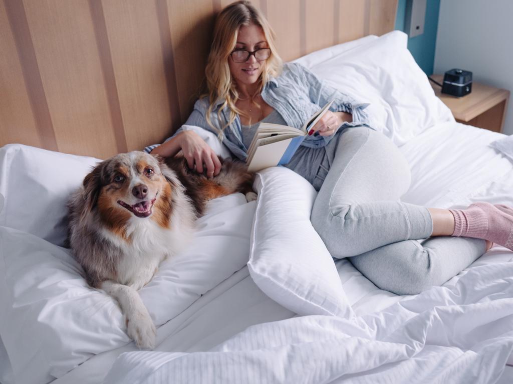 The hotel is also pet-friendly, so you can bring your four-legged mate along.