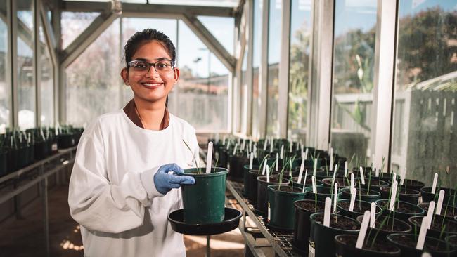 University of Southern Queensland (UniSQ) student Sandiri Manaswini hopes her research will help solve agricultural challenges in her home country of India. Picture: Luke Stephenson