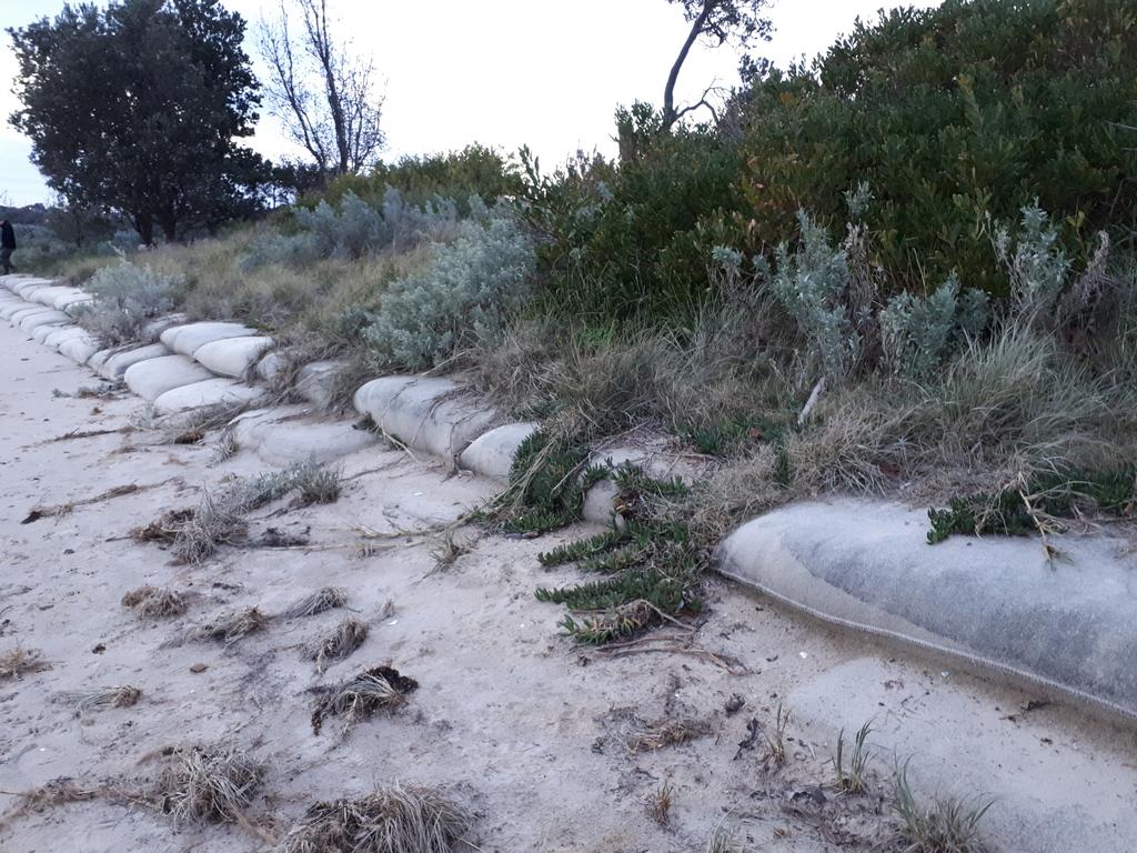 Bayside Council’s sandbag anti-erosion solution at Ricketts Point.