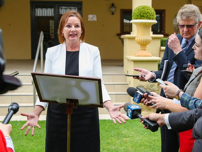 Ms Ley gives a press conference in Albury, after the first of her expenses scandals broke. Picture: Simon Dallinger