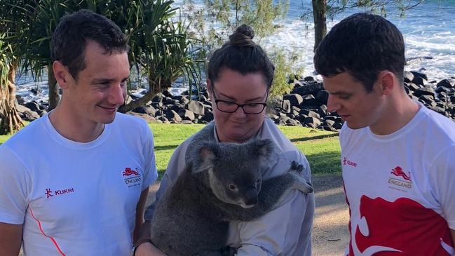 Team England Triathletes Alistair and Jonny Brownlee atBurleigh Heads on the Gold Coast. With Bunker the Koala and a handlerfrom Currumbin Wildlife.