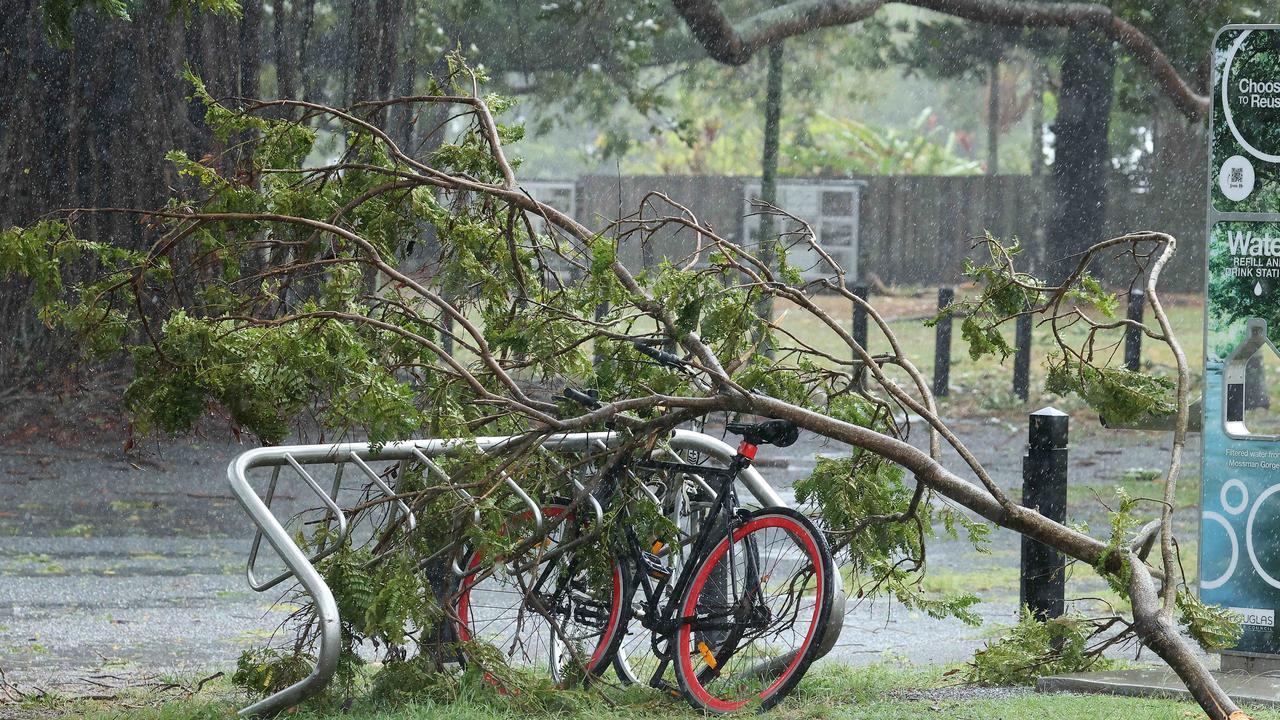 Trees blown down by TC Jasper in Port Douglas. Picture: Liam Kidston