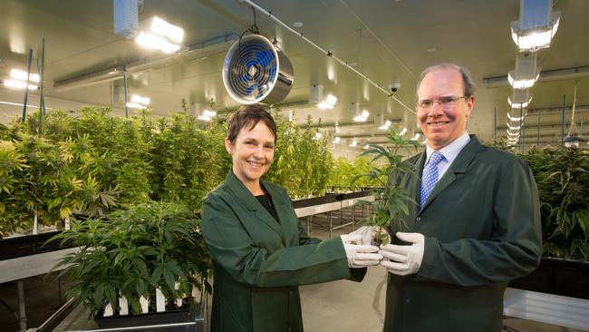 Victorian agriculture minister Jaala Pulford hands over the first commercial cannabis crop to Cann Group CEO Peter Crock.