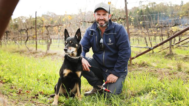 Jacob Stein and his dog Cooper at his winery, Robert Stein Winery and Vineyard, just outside of Mudgee. The business is still closed for tasting but selling takeaways. Picture: Rohan Kelly