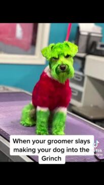 Grinch stuffed best sale animal controversy