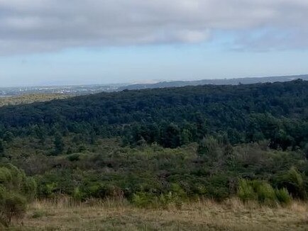 The vast search area in Woowookarung Regional Park. Picture: Timothy Cox