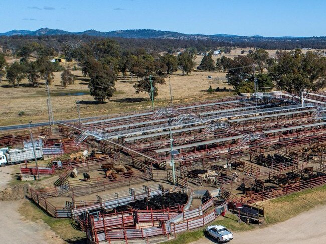 Southern Downs' $7+ million dollar upgrade project on the saleyards is expected to begin soon and be completed by mid-2024 (Photo: SDRC)