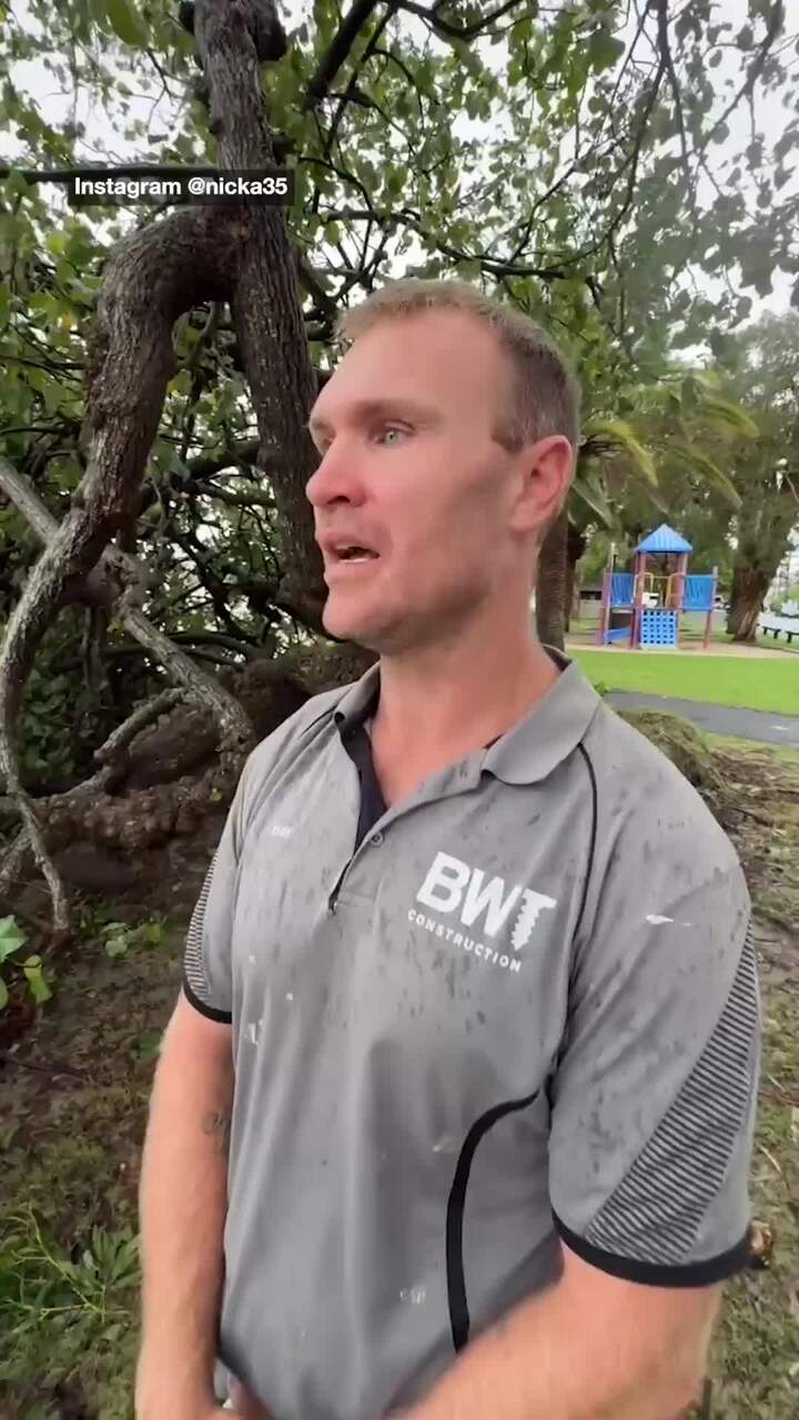 Sharks spotted in Gold Coast canals after ex-TC Alfred