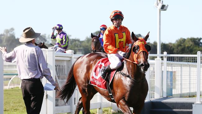 Cedarwood, ridden by Chris Whiteley, returns to scale after winning Race 5, the Class 6 Plate at Cannon Park, Woree. PICTURE: BRENDAN RADKE