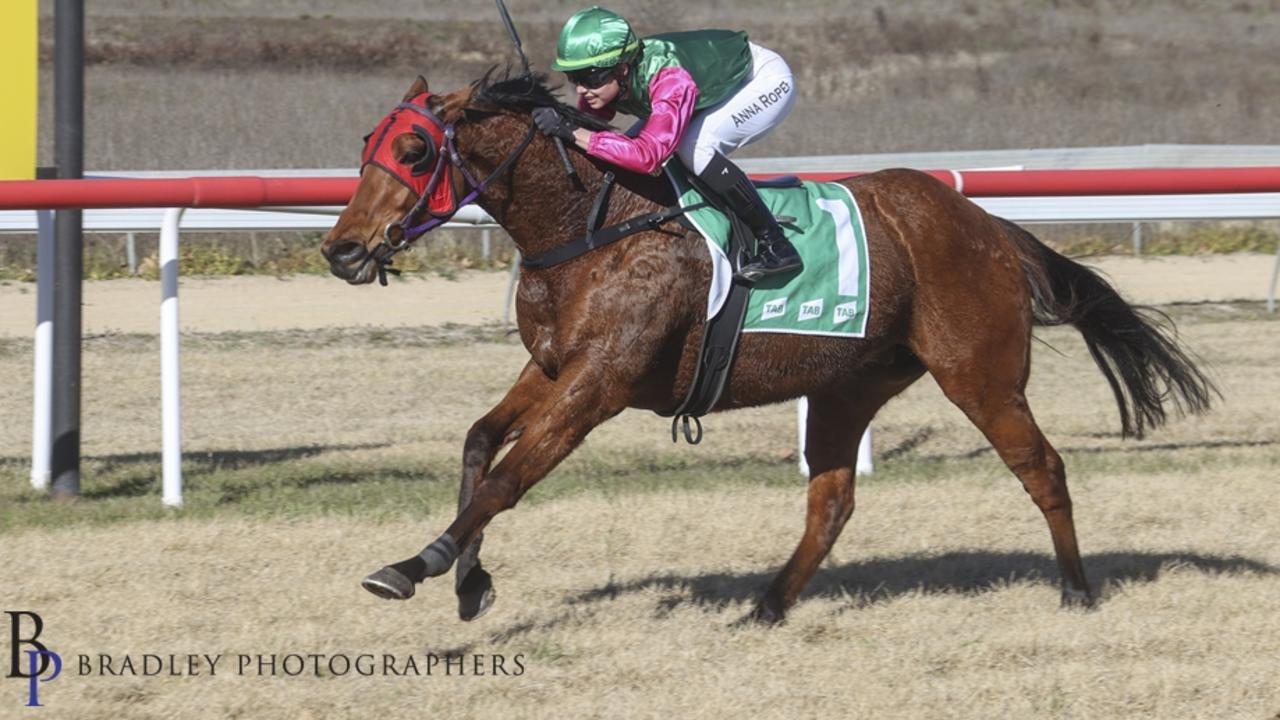 Anna Roper guides Dream Lad to victory at Inverell in July. Photo: Bradley Photography.