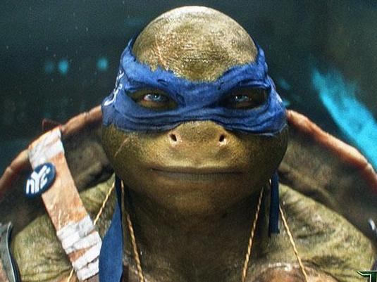 Teenage Mutant Ninja Turtles: What you never knew