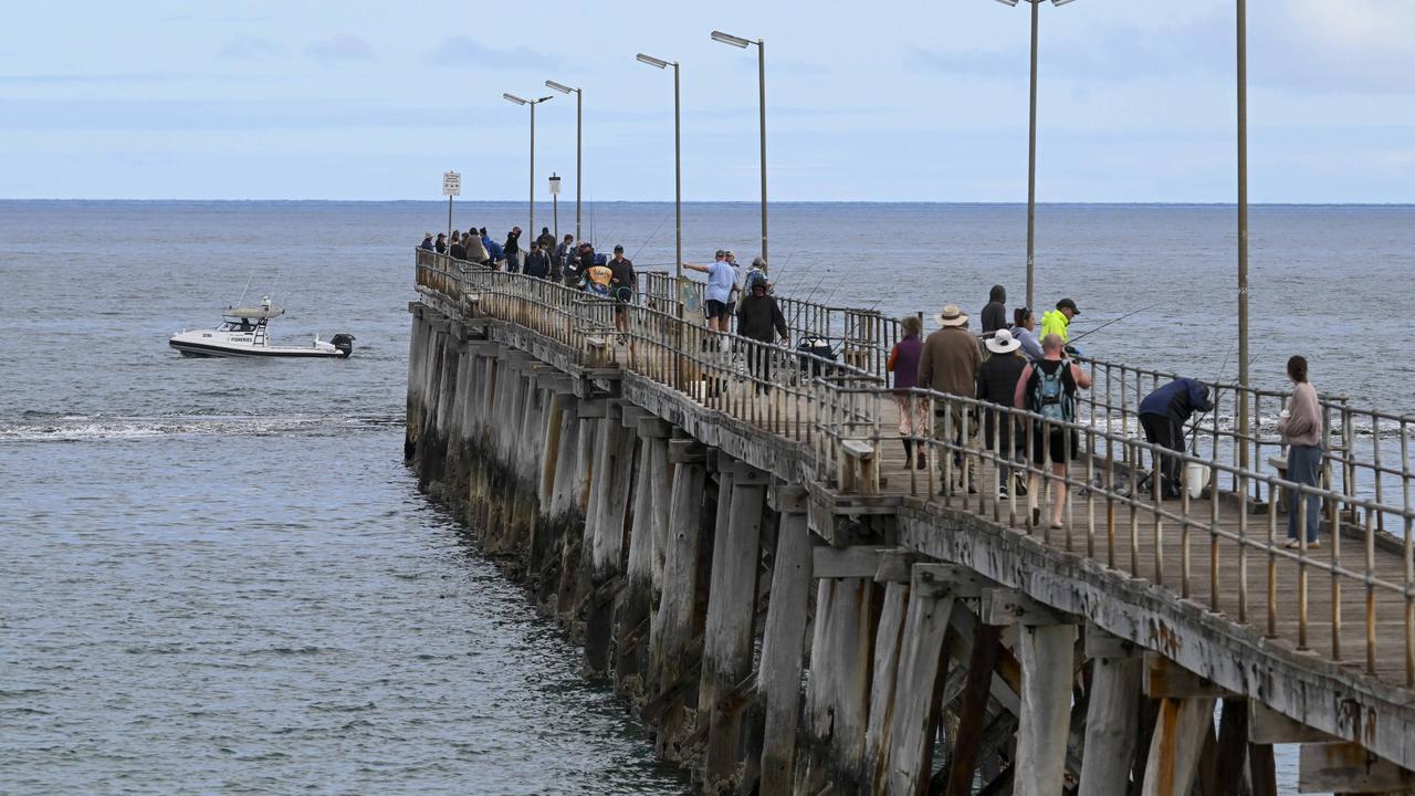 Shark spotted days after serious attack