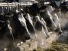 New push for carbon neutral milk