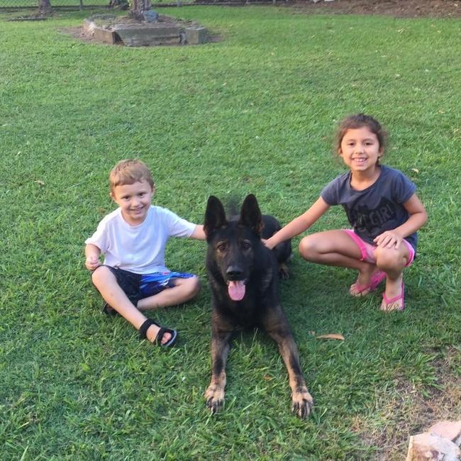 Ajax passed away at the age of 10. Picture: Queensland Police Service.