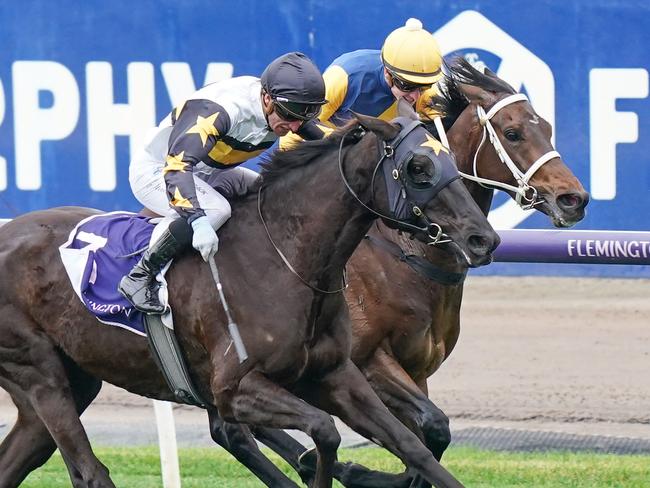 Mimi's Award ridden by Daniel Stackhouse wins the Deane Lester Flemington Cup at Flemington Racecourse on July 15, 2023 in Flemington, Australia. (Photo by Scott Barbour/Racing Photos via Getty Images)