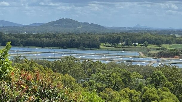 Prawn ponds on the Logan River. Picture: Judith Kerr