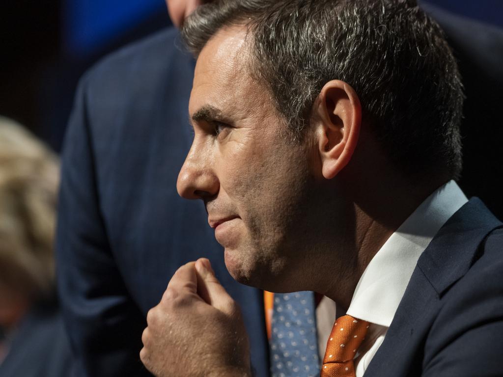 Control NDIS spending or forget budget surpluses