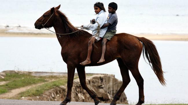 20 Jun 2007: Palm Island local children riding one of the Island's horses: Pic Rob/Maccoll