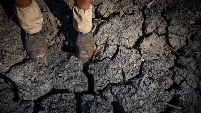 Farmer Johnnie McKeown stands in the bed of the Namoi River near the north-western New South Wales town of Walgett in October 2019. (Photo by David Gray/Getty Images)