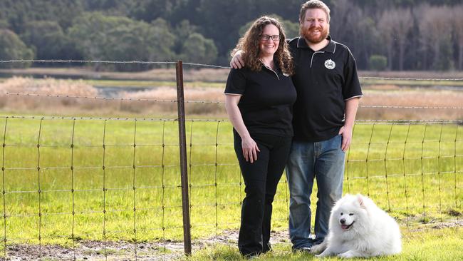 Smiling Samoyed Brewery owners Kate Henning and Simon Dunstone with their dog Hoppy have had extra visitors since the Myponga Reservoir opened. Picture: Tait Schmaal