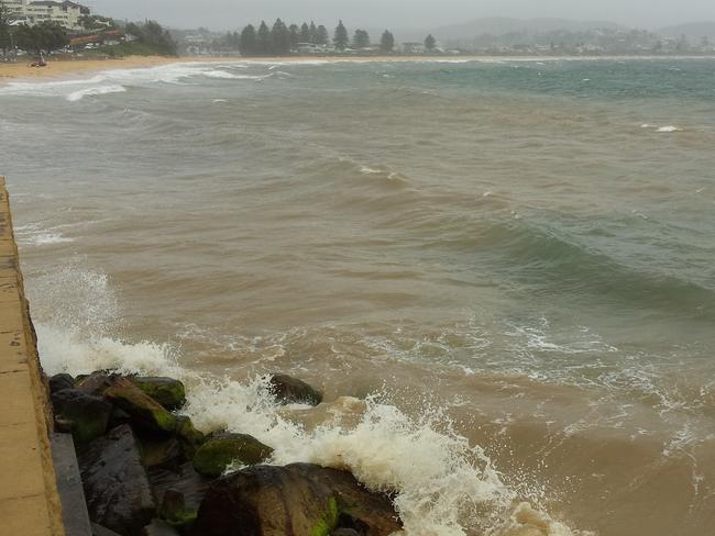 Terrigal beach water turned brown by stormwater run-off.