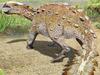 illostration of Stegouros dinosaur discovered in the Patagonia region of South America.