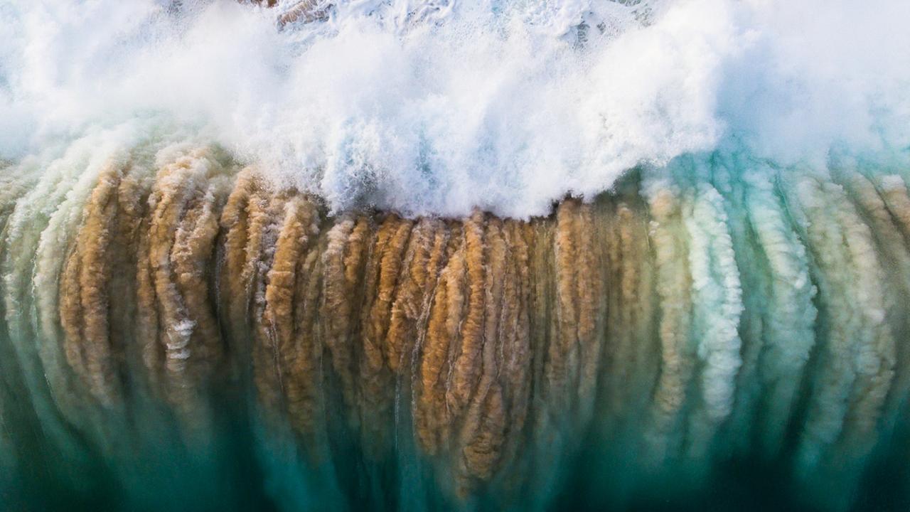 SURGE Reed Plummer, New South Wales North Avoca Beach, New South Wales