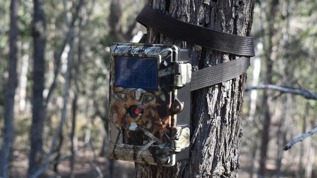 A trail camera similar to this one caught Tyler James Monaghan out.