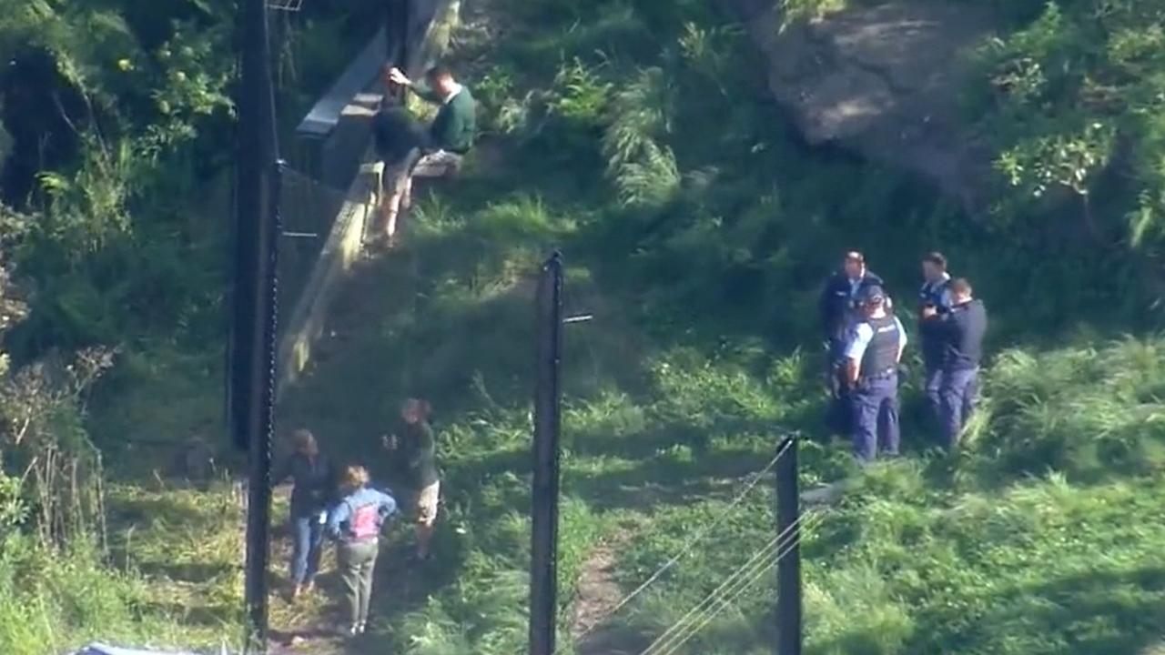 Police and staff were seen at the lion enclosure. Picture: The Today Show/ Channel 9.