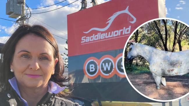 Gympie Saddleworld owner Melissa Boully in front of a sign which was home to a fibreglass horse, until thieves struck on the night of May 31, 2023. The horse was found in bushland near the Kidd Bridge, up the Mary River from the shop.