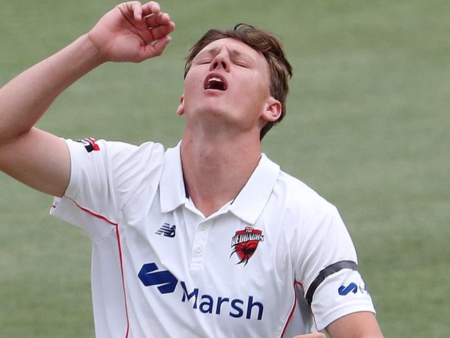 HOBART, AUSTRALIA - NOVEMBER 12: David Grant of the Redbacks reacts during day three of the Sheffield Shield match between Tasmania and South Australia at Blundstone Arena, on November 12, 2021, in Hobart, Australia. (Photo by Sarah Reed/Getty Images)