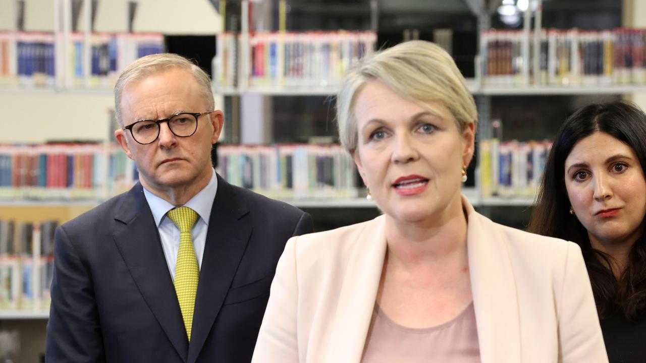 Tanya Plibersek said the report was alarming. Picture: Liam Kidston