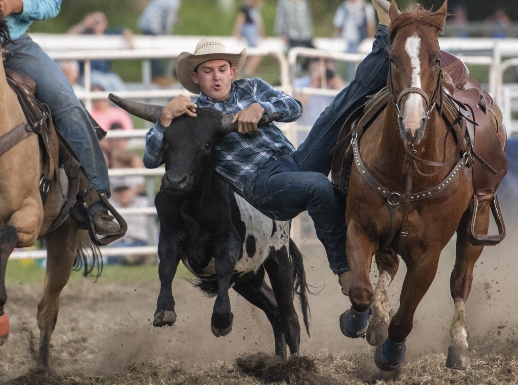 Cody Berriman jumps down in the steer wrestling at the Lawrence Twilight Rodeo. Picture: Adam Hourigan