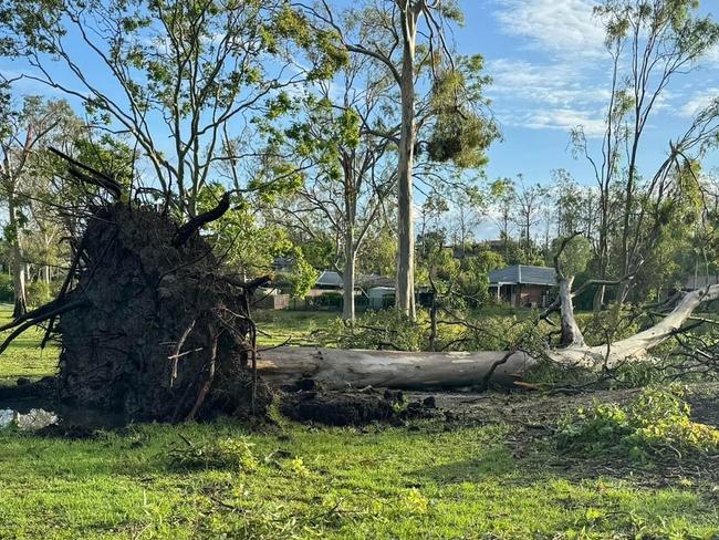 Fallen trees across the Gold Coast after the December 2032 event. Picture: Scott Powick