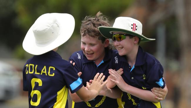 Some junior Colac cricketers celebrate a wicket. Picture: Mark Wilson