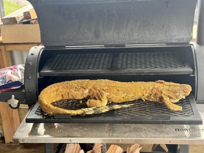 Throw another croc on the barbie: How Territory delicacy is becoming an AFL grand final tradition