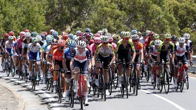 The international field won’t be in Adelaide for the Tour Down Under which has been cancelled for 2021, but cycling fever will still sweep the city with a new six-day ‘festival of cycling’. Picture: Sarah Reed.