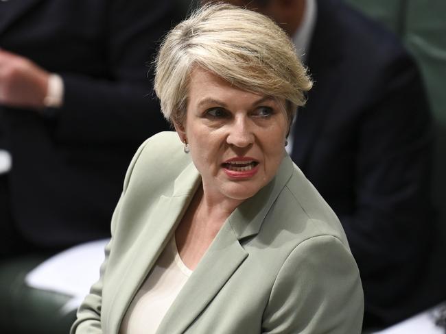 CANBERRA, AUSTRALIA, NewsWire Photos. NOVEMBER 29, 2023: Minister for Environment and Water Tanya Plibersek during Question Time at Parliament House in Canberra. Picture: NCA NewsWire / Martin Ollman